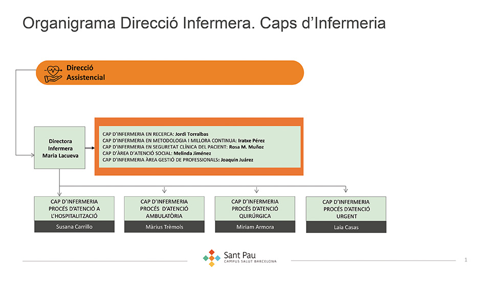 Organigrama Direcció Infermera