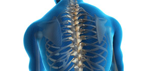 Informació assistencial