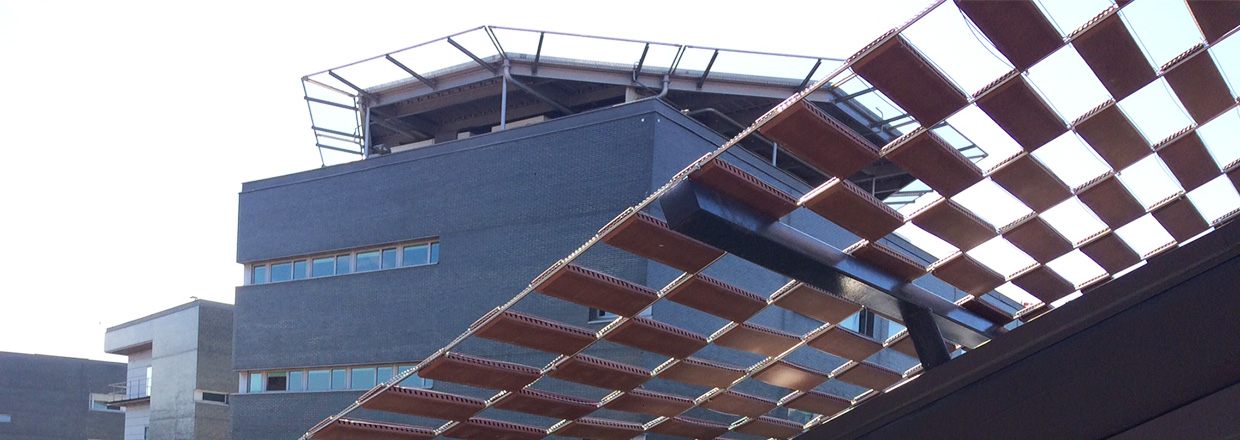 Actividad Asistencial