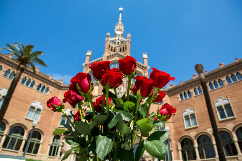 Jornada d’entrada gratuïta: Diada de Sant Jordi
