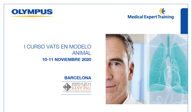 I Curs VATS en model animal