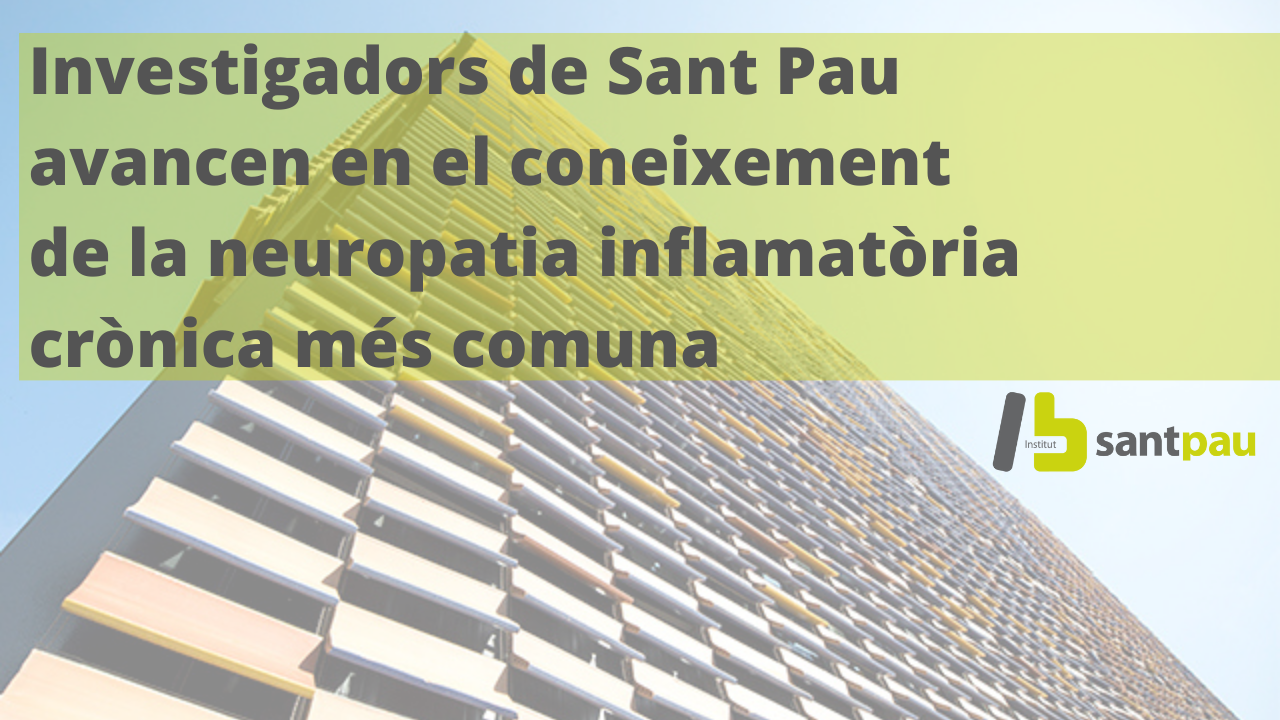 Investigadors de Sant Pau avancen en el coneixement de la neuropatia inflamatòria crònica més comuna