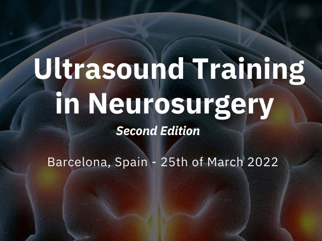 Ultrasound Training in Neurosurgery