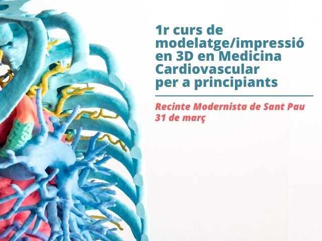 1r curs de modelatge/impressió en 3D en Medicina Cardiovascular per a principiants