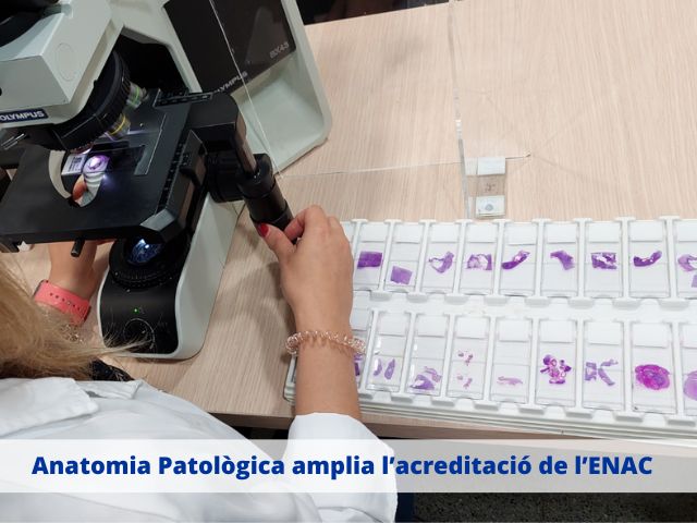 El Servei d’Anatomia Patològica de Sant Pau amplia  l’acreditació de l’ENAC per a l’estudi histopatològic de  biòpsies de patologia tumoral primària d’os i parts toves