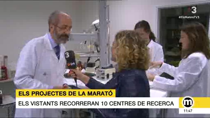 El Dr. Cinca explica la seva recerca als Matins de TV3