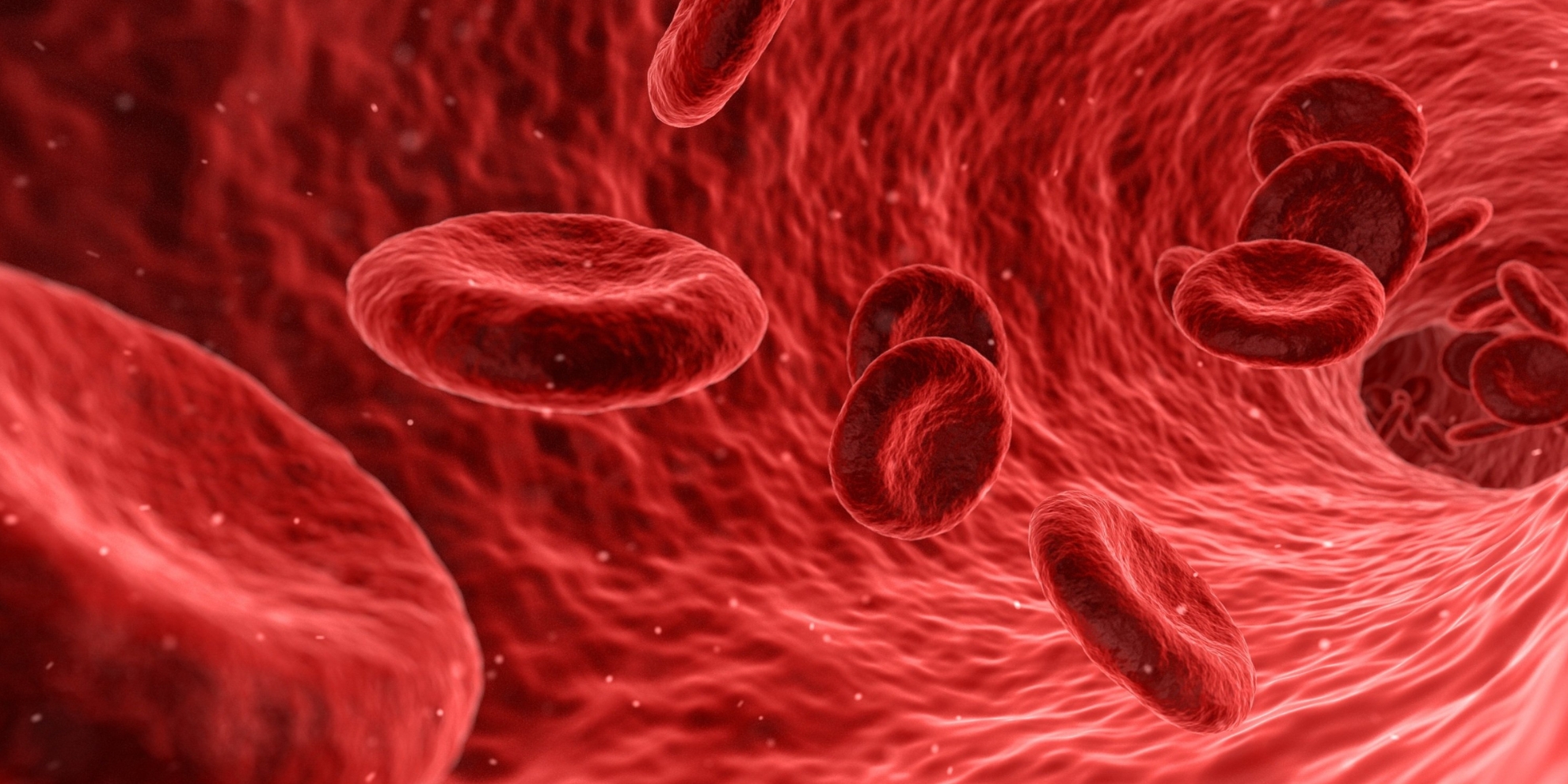 14a Edició del curs “Tractament depuratiu continu en el pacient crític