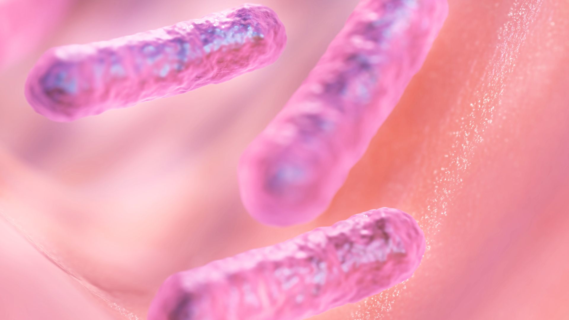 Sant Pau organitza la 4a Jornada d’Actualització en el Diagnòstic i Tractament de la Tuberculosi