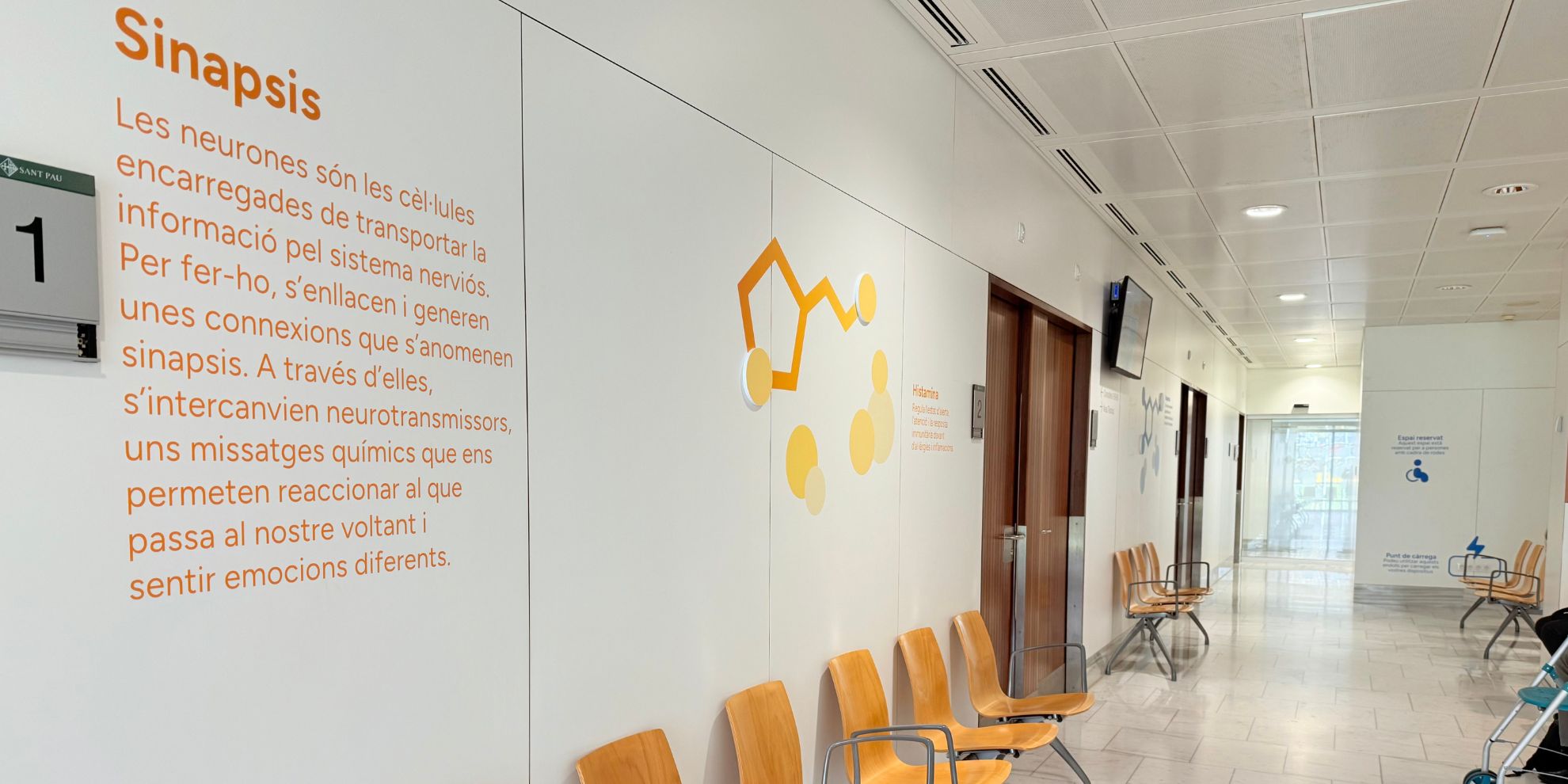 A Sant Pau sumem esforços per les minoritàries